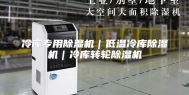 冷库专用除湿机｜低温冷库除湿机｜冷库转轮除湿机