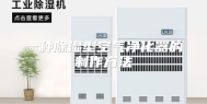 一种除湿型空气净化器的制作方法