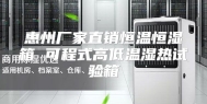 惠州厂家直销恒温恒湿箱 可程式高低温湿热试验箱