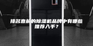 排名靠前的除湿机品牌中有哪些推荐入手？