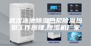 武汉泳池除湿热泵除湿热泵工作原理,除湿机厂家