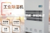 除湿机 工业除湿机 转轮除湿机