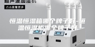 恒温恒湿箱哪个牌子好-恒温恒湿柜哪个牌子好