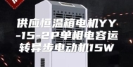 供应恒温箱电机YY-15-2P单相电容运转异步电动机15W