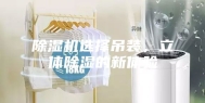 除湿机选择吊装，立体除湿的新体验