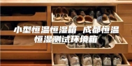 小型恒温恒湿箱 成都恒温恒湿测试环境箱