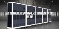 恒温恒湿空调组成,恒温恒湿系统原理