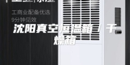 沈阳真空恒温箱／干燥箱
