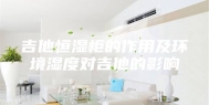 吉他恒湿柜的作用及环境湿度对吉他的影响