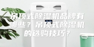 吊顶式除湿机品牌有哪些？吊顶式除湿机的选购技巧？