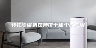 转轮除湿机在柿饼干燥中的妙用