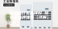 除湿机什么品牌好 除湿机品牌推荐【详解】