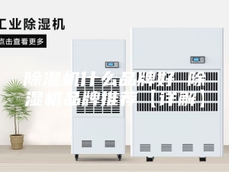 企业新闻除湿机什么品牌好 除湿机品牌推荐【详解】