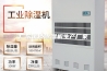 广东优质除湿机生产厂家