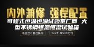 可程式恒温恒湿试验室厂商 大型不锈钢恒温恒湿试验箱
