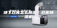 地下仓库怎么除湿？仓库除湿机
