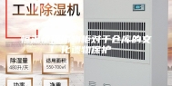 恒温恒湿储物柜对于仓库的文化遗物保护