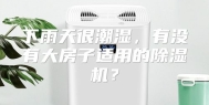 下雨天很潮湿，有没有大房子适用的除湿机？