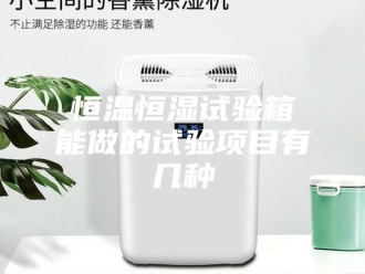 常见问题恒温恒湿试验箱能做的试验项目有几种