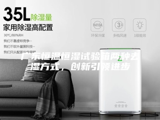 常见问题广东恒温恒湿试验箱两种去湿方式，创新引领进步