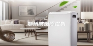 鄂州防爆除湿机