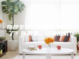 企业新闻魔都冬雨天不想拼内衣裤了？你需要一台除湿机！