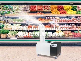企业新闻除湿机,dehumidifier英语短句,例句大全