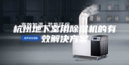 杭州地下室用除湿机的有效解决方案