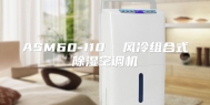 ASM60-110  风冷组合式除湿空调机